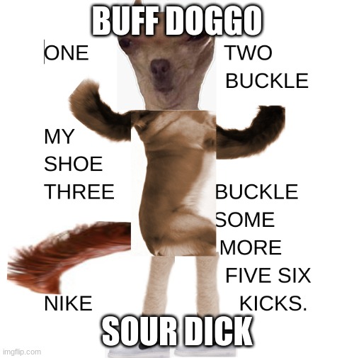 big doggo | BUFF DOGGO; SOUR DICK | image tagged in funny memes | made w/ Imgflip meme maker