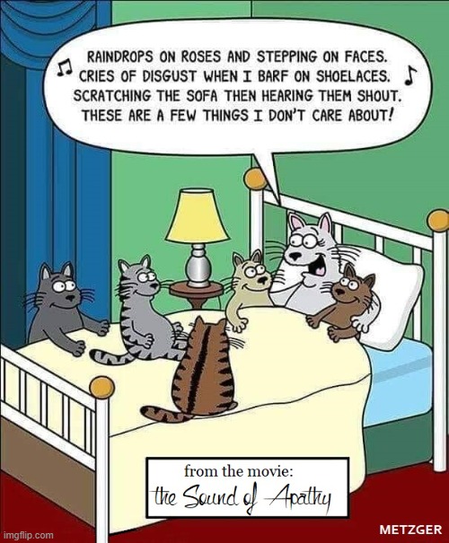 If Cats Made a Musical | image tagged in cats,vince vance,sound of music,parody,memes,comics/cartoons | made w/ Imgflip meme maker