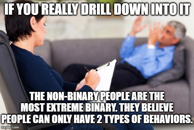 psychiatrist | IF YOU REALLY DRILL DOWN INTO IT THE NON-BINARY PEOPLE ARE THE MOST EXTREME BINARY. THEY BELIEVE PEOPLE CAN ONLY HAVE 2 TYPES OF BEHAVIORS. | image tagged in psychiatrist | made w/ Imgflip meme maker