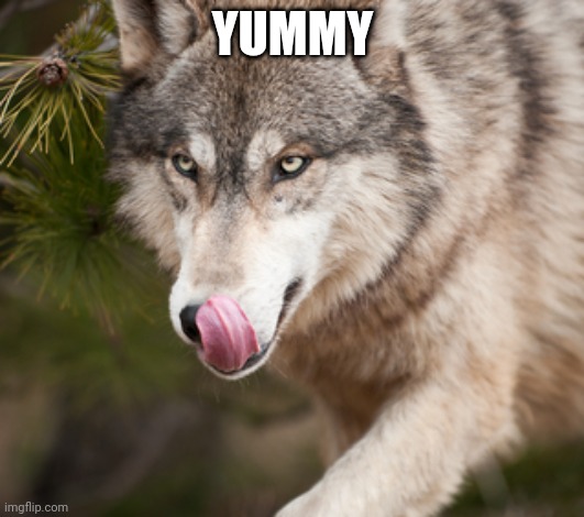 yummy | YUMMY | image tagged in yummy | made w/ Imgflip meme maker