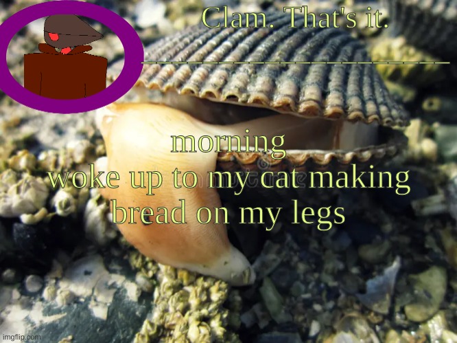 vrffdfvvvrqfvegbg | morning
woke up to my cat making bread on my legs | made w/ Imgflip meme maker