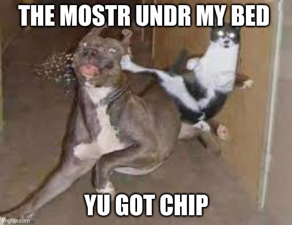 chip | THE MOSTR UNDR MY BED; YU GOT CHIP | image tagged in aaaaaaaaaaaaaaaaaaaaaaaaaaa | made w/ Imgflip meme maker