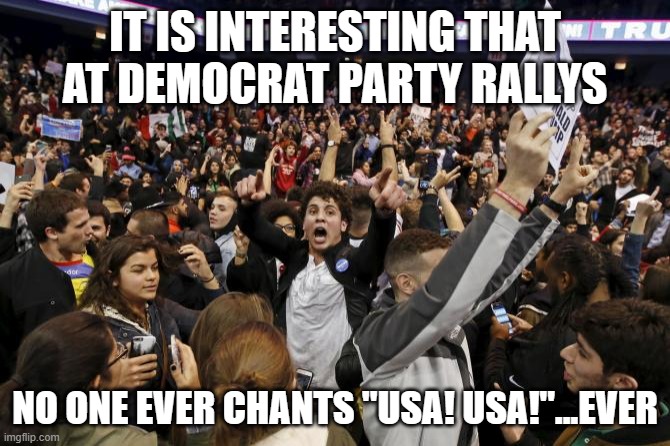 trump rally riot | IT IS INTERESTING THAT AT DEMOCRAT PARTY RALLYS NO ONE EVER CHANTS "USA! USA!"...EVER | image tagged in trump rally riot | made w/ Imgflip meme maker