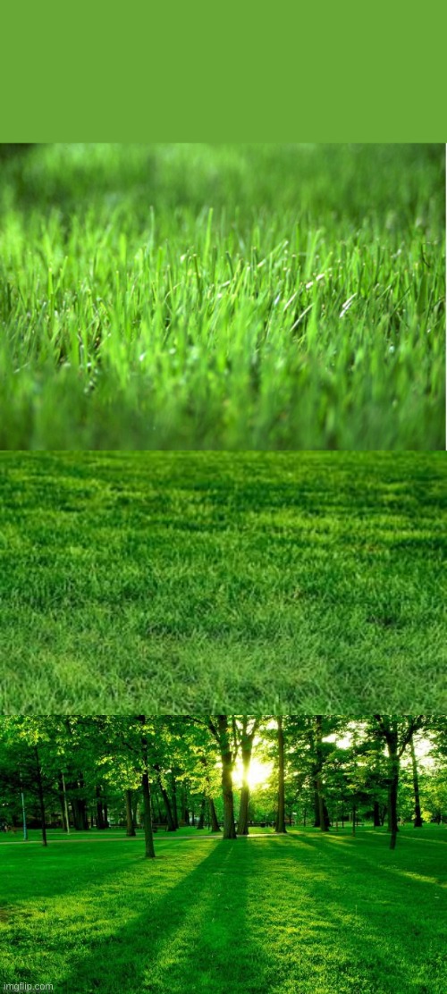 image tagged in grass is greener,touching grass,grass and trees | made w/ Imgflip meme maker