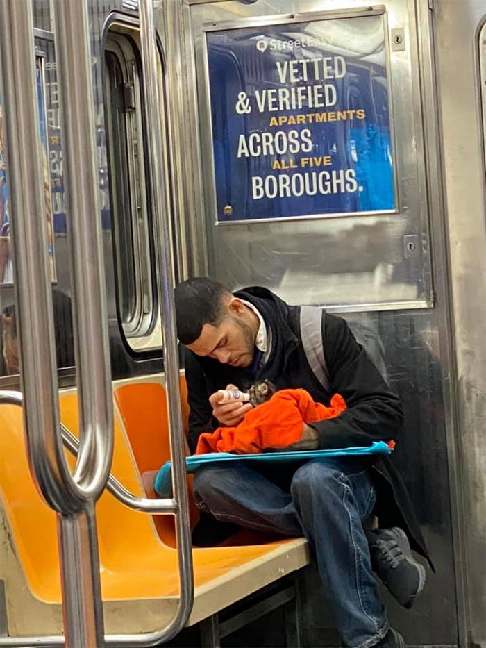 High Quality Subway kitten Blank Meme Template