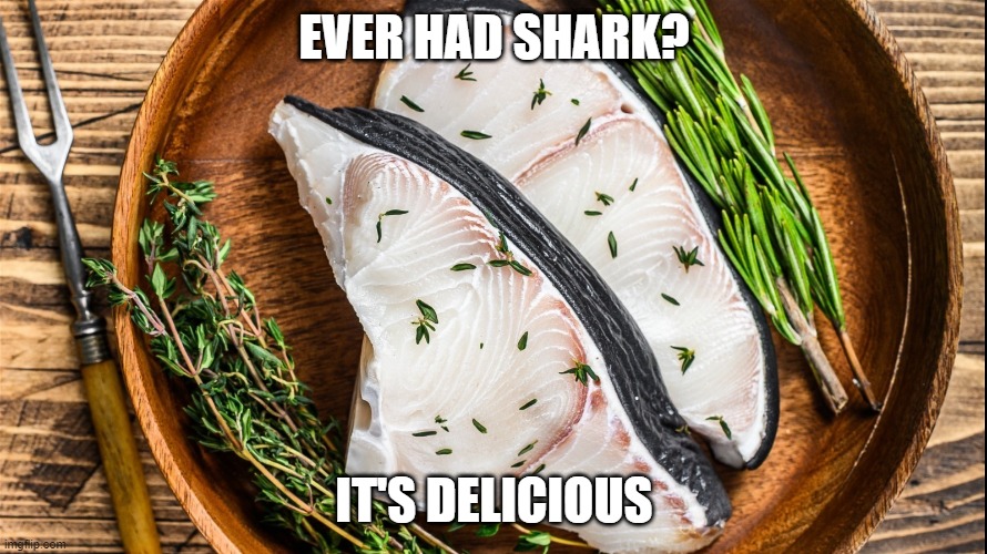 Eat Shark | EVER HAD SHARK? IT'S DELICIOUS | image tagged in food | made w/ Imgflip meme maker
