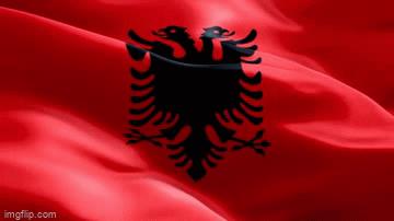 red and black i dress eagle on my chest good to be an albanian keep my head  up high for that flag i die im proud to be an albani - Imgflip