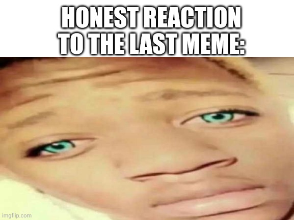 HONEST REACTION TO THE LAST MEME: | image tagged in meme | made w/ Imgflip meme maker