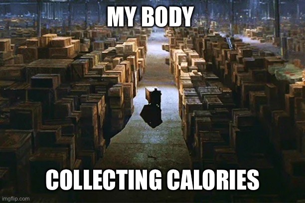 Calories | MY BODY; COLLECTING CALORIES | image tagged in calories | made w/ Imgflip meme maker