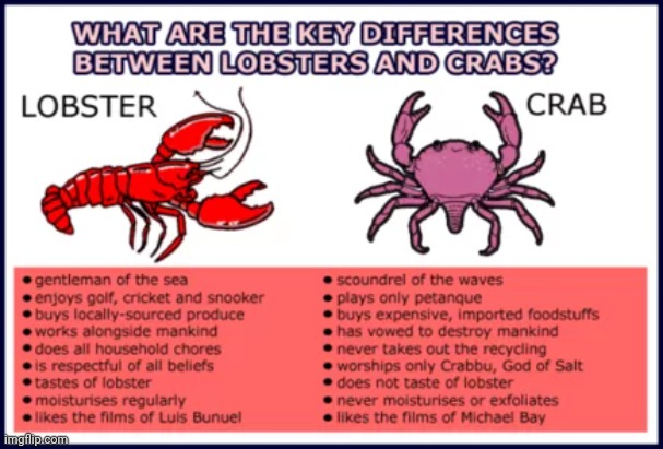 The differences | made w/ Imgflip meme maker