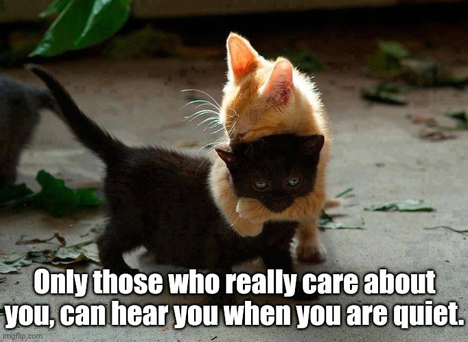 Real, true love... | Only those who really care about
you, can hear you when you are quiet. | image tagged in kitten hug,caring,love | made w/ Imgflip meme maker