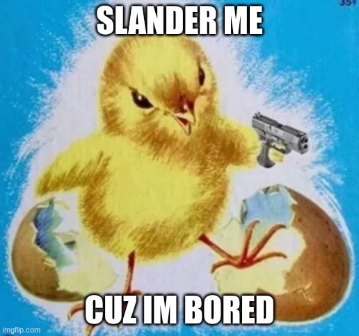 badass chick | SLANDER ME; CUZ IM BORED | image tagged in badass chick | made w/ Imgflip meme maker