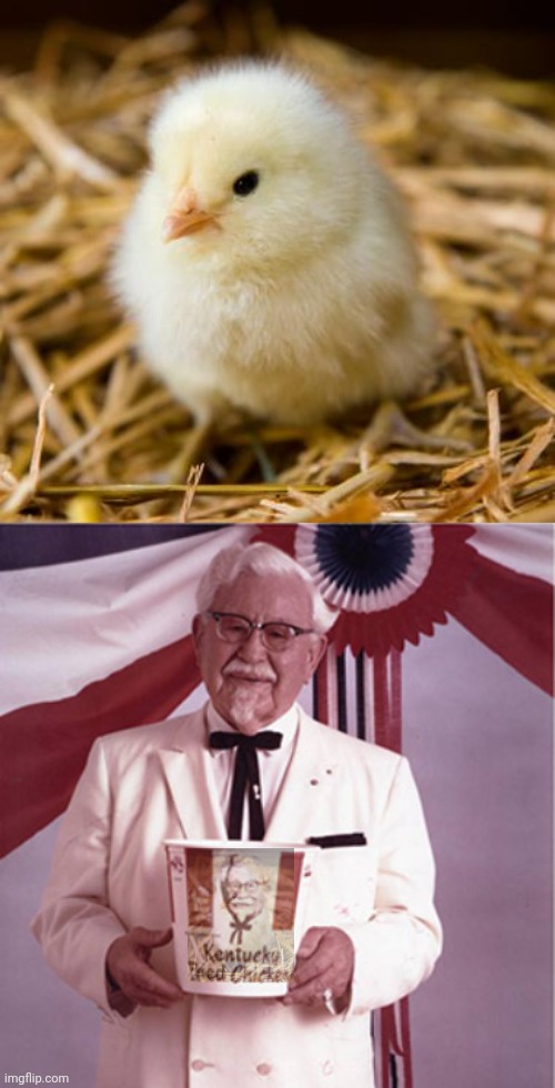 Get in the bucket! | image tagged in baby chicken,kfc colonel sanders,kfc,lore | made w/ Imgflip meme maker