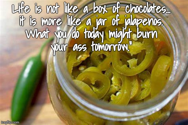 Life is like a jar of jalapenos | Life is not like a box of chocolates… 
it is more like a jar of jalapenos. 
What you do today might burn 
your ass tomorrow.” | image tagged in life sucks,life lessons | made w/ Imgflip meme maker