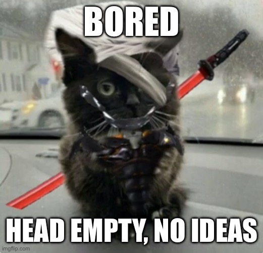 Doktor, Turn Off My Cute Inhibitors! | BORED; HEAD EMPTY, NO IDEAS | image tagged in raiden cat | made w/ Imgflip meme maker