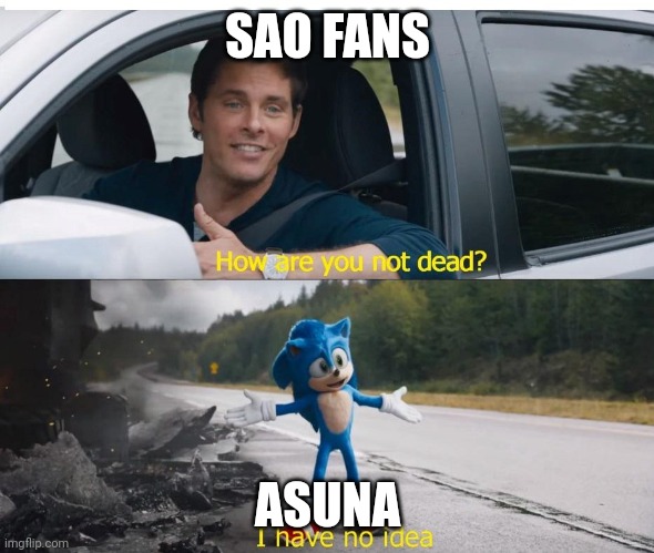 sonic how are you not dead | SAO FANS; ASUNA | image tagged in sonic how are you not dead | made w/ Imgflip meme maker