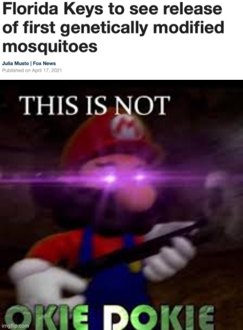 just another day in Florida | image tagged in this is not okie dokie,mario,smg4 | made w/ Imgflip meme maker