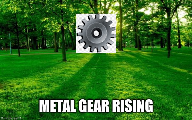 Grass and trees | METAL GEAR RISING | image tagged in grass and trees | made w/ Imgflip meme maker