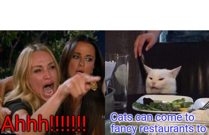 Woman Yelling At Cat Meme | Ahhh!!!!!!! Cats can come to fancy restaurants to | image tagged in memes,woman yelling at cat | made w/ Imgflip meme maker