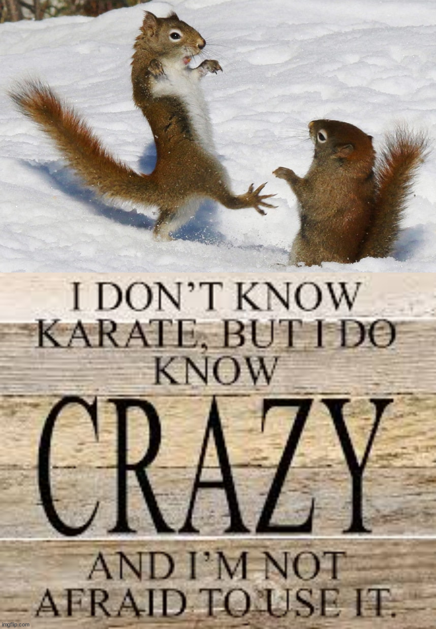 image tagged in i don't know karate but i do know crazy and i'm not afraid to | made w/ Imgflip meme maker