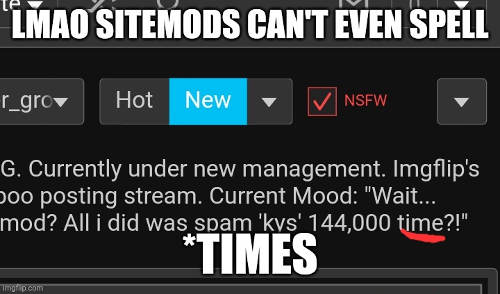 LMAO SITEMODS CAN'T EVEN SPELL; *TIMES | made w/ Imgflip meme maker