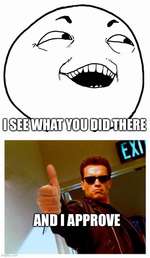 AND I APPROVE I SEE WHAT YOU DID THERE | image tagged in i see what you did there,terminator thumbs up | made w/ Imgflip meme maker