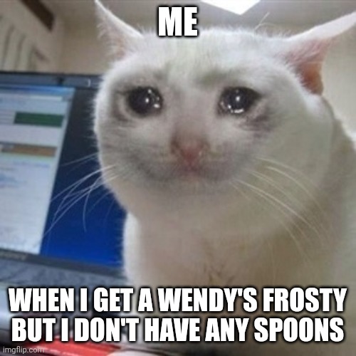 No spoons for frosty??? | ME; WHEN I GET A WENDY'S FROSTY BUT I DON'T HAVE ANY SPOONS | image tagged in crying cat | made w/ Imgflip meme maker