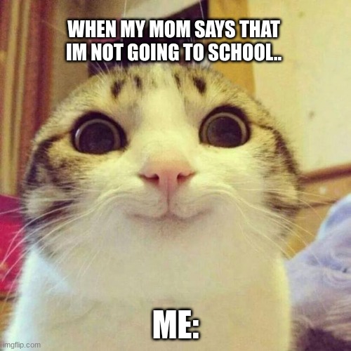 I HATE SCHOOL (well sometimes) | WHEN MY MOM SAYS THAT IM NOT GOING TO SCHOOL.. ME: | image tagged in memes,smiling cat | made w/ Imgflip meme maker