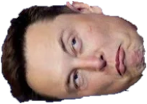 Musk Head Blank Meme Template