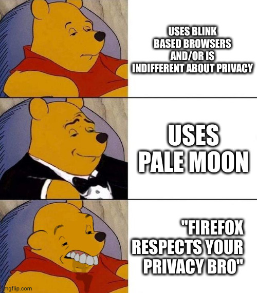 Browser users | USES BLINK BASED BROWSERS AND/OR IS INDIFFERENT ABOUT PRIVACY; USES PALE MOON; "FIREFOX RESPECTS YOUR PRIVACY BRO" | image tagged in best better blurst,chrome,firefox | made w/ Imgflip meme maker