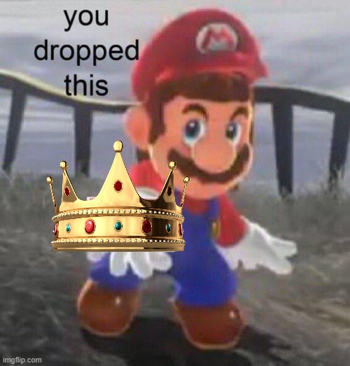 Mario You dropped this | image tagged in mario you dropped this | made w/ Imgflip meme maker