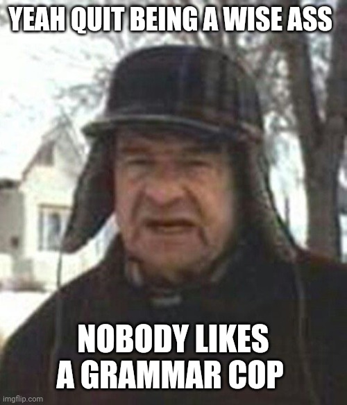 walter matthau grumpy old men | YEAH QUIT BEING A WISE ASS NOBODY LIKES A GRAMMAR COP | image tagged in walter matthau grumpy old men | made w/ Imgflip meme maker