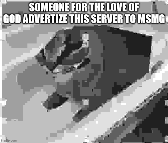 g | SOMEONE FOR THE LOVE OF GOD ADVERTIZE THIS SERVER TO MSMG | image tagged in very low quality floppa | made w/ Imgflip meme maker