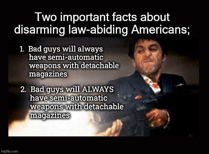 Two important facts about disarming law-abiding Americans; ... | Two important facts about disarming law-abiding Americans;; 1.  Bad guys will always 
     have semi-automatic 
     weapons with detachable
     magazines; 2.  Bad guys will ALWAYS 
     have semi-automatic 
     weapons with detachable
     magazines | image tagged in ar15,gun control | made w/ Imgflip meme maker