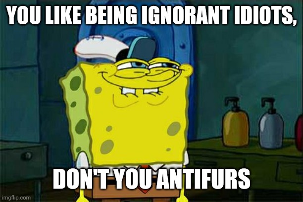 Don't You Squidward Meme | YOU LIKE BEING IGNORANT IDIOTS, DON'T YOU ANTIFURS | image tagged in memes,don't you squidward | made w/ Imgflip meme maker