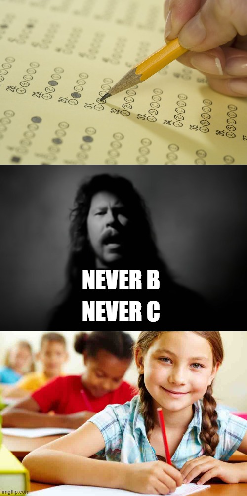 NEVER B; NEVER C | image tagged in mcq exam test multiple choice | made w/ Imgflip meme maker