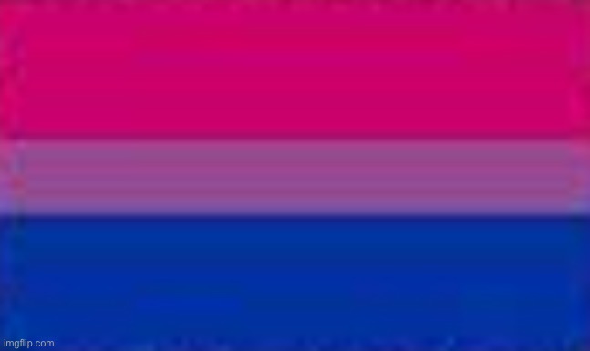 Bisexual Pride Flag | image tagged in bisexual pride flag | made w/ Imgflip meme maker