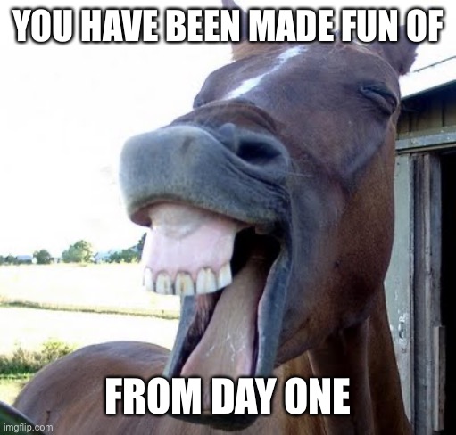 horse laugh | YOU HAVE BEEN MADE FUN OF FROM DAY ONE | image tagged in horse laugh | made w/ Imgflip meme maker