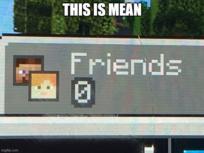 THIS IS MEAN | image tagged in first world problems,friends,minecraft | made w/ Imgflip meme maker