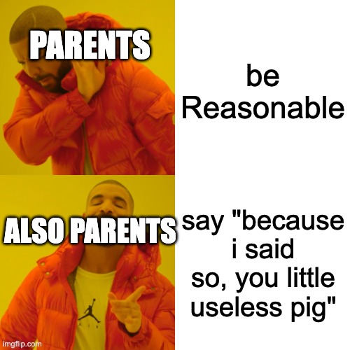 my ad | PARENTS; be Reasonable; say "because i said so, you little useless pig"; ALSO PARENTS | image tagged in memes,drake hotline bling | made w/ Imgflip meme maker