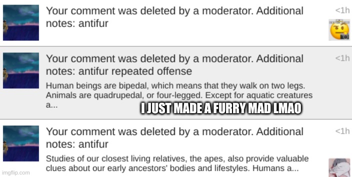 (Mod note: noice)  | I JUST MADE A FURRY MAD LMAO | made w/ Imgflip meme maker