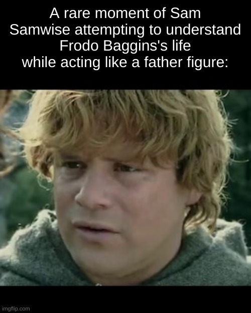 Sam in pure confusion | A rare moment of Sam Samwise attempting to understand Frodo Baggins's life while acting like a father figure: | image tagged in sam in pure confusion | made w/ Imgflip meme maker
