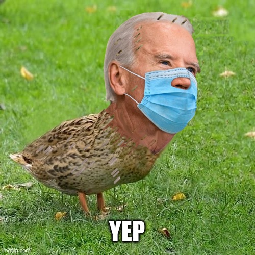 YEP | image tagged in joe bidenduck | made w/ Imgflip meme maker