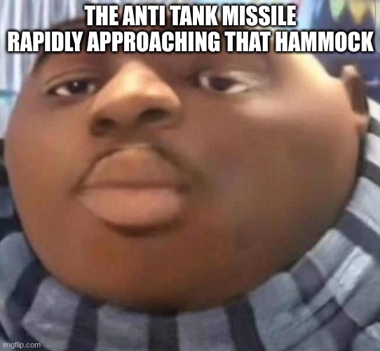 Gru | THE ANTI TANK MISSILE RAPIDLY APPROACHING THAT HAMMOCK | image tagged in gru | made w/ Imgflip meme maker