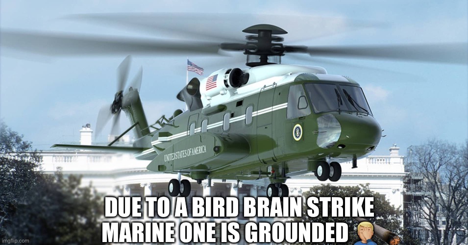 Marine one | DUE TO A BIRD BRAIN STRIKE MARINE ONE IS GROUNDED 🤦🏼‍♂️ | image tagged in marine one | made w/ Imgflip meme maker