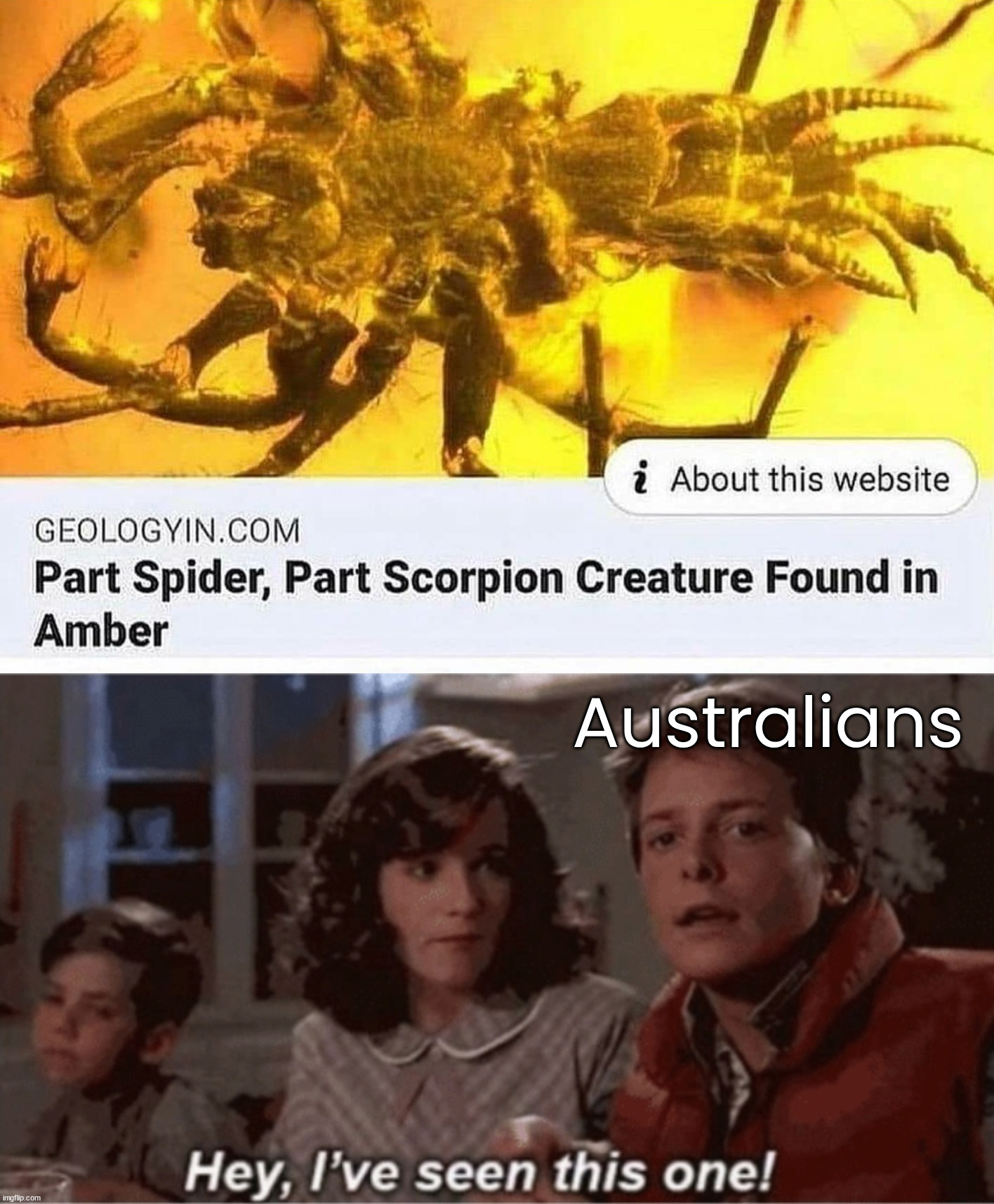 I am sure it discovered down under | Australians | image tagged in hey i've seen this one,australia,freak out,insect,spider | made w/ Imgflip meme maker