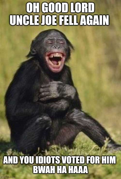 Laughing monkey | OH GOOD LORD UNCLE JOE FELL AGAIN AND YOU IDIOTS VOTED FOR HIM 
BWAH HA HAAA | image tagged in laughing monkey | made w/ Imgflip meme maker