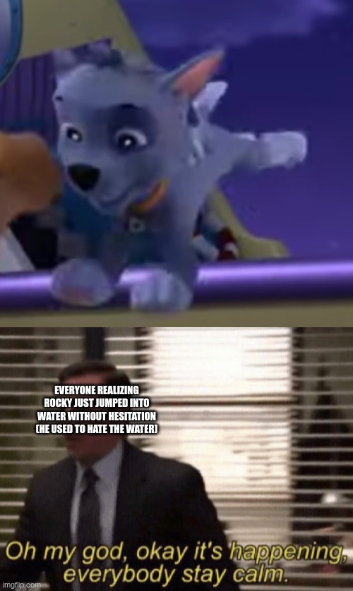 how far the pup has come | EVERYONE REALIZING ROCKY JUST JUMPED INTO WATER WITHOUT HESITATION (HE USED TO HATE THE WATER) | image tagged in oh my god okeay it's happenning everybody stay calm,water,paw patrol | made w/ Imgflip meme maker
