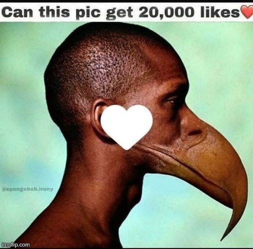 or 20,000 upvotes | made w/ Imgflip meme maker