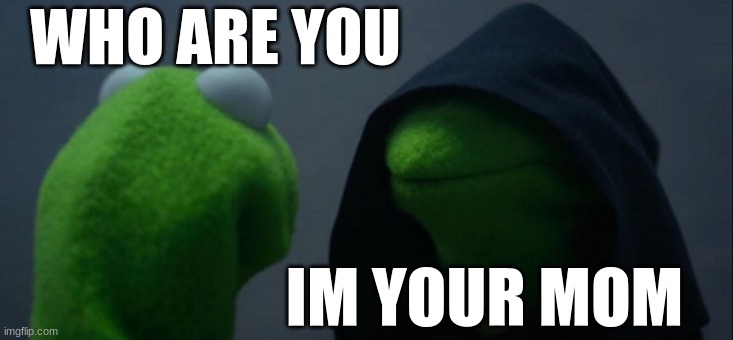 Evil Kermit | WHO ARE YOU; IM YOUR MOM | image tagged in memes,evil kermit | made w/ Imgflip meme maker